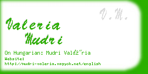 valeria mudri business card